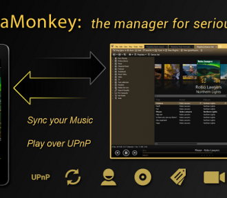 Download MediaMonkey Gold 4.1.29.1910  key