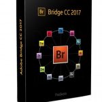 Download Bridge CC 2017  Google drive Hướng dẫn cài đặt