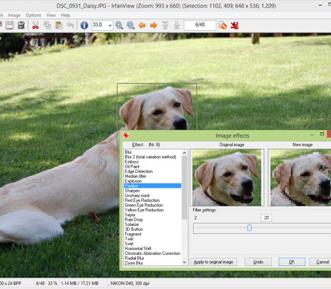 Download IrfanView Mới Nhất – Phần mềm xem quản lý ảnh chuyên nghiệp