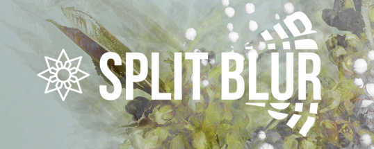 Download Aescripts Split Blur v1.0.1 for After Effects