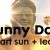 Download Aescripts Sunny Day v1.0 for After Effects