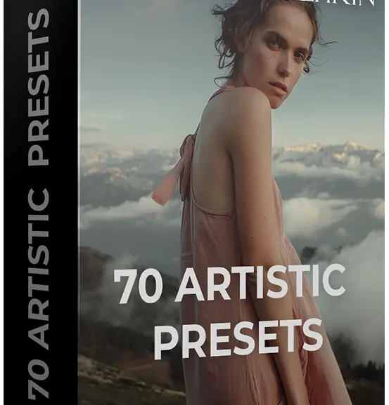 Download Dimitry Rogozhkin – Artistic Presets