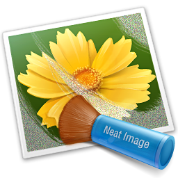 Download Neat Image Pro 8.3.5 – Làm mịnh da, giảm nhiễu ảnh