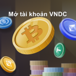 VNDC là gì? Hướng dẫn đăng ký và kiếm tiền với VNDC mới nhất