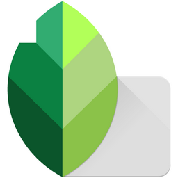 Download Snapseed APK for Android – Chỉnh sửa video cho Android