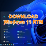 Download Windows 11 RTM Final 21H2 22000.194 – Google drive