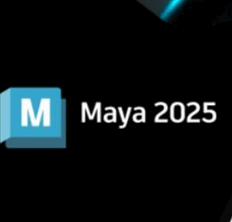 Download Maya 2025 – Hướng dẫn cài đặt chi tiết