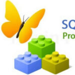 Download SQLite Expert Professional 5.5.31 – Hướng dẫn cài đặt