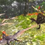 Tải Spinosaurus Simulator MOD APK  (Menu, Vô Hạn Tiền, Kỹ Năng) 1.1.8