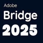 Tải Adobe Bridge 2025 Hướng dẫn cài đặt chi tiết