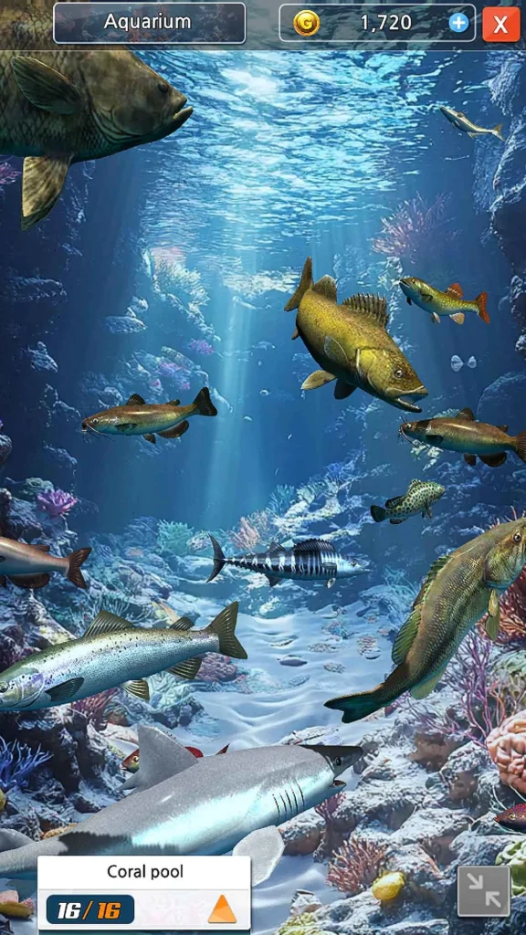 Game Ocean Fishing King MOD